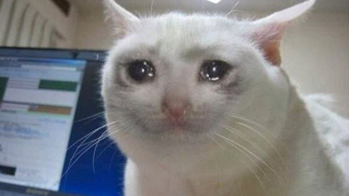 Crying Cat Meme - KibrisPDR