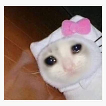Detail Crying Cat Meme Nomer 10