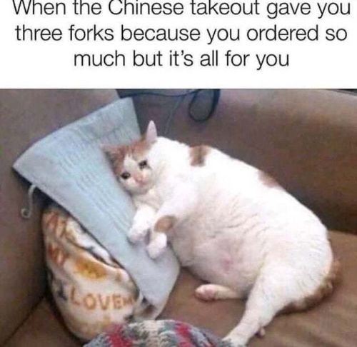 Detail Crying Cat Meme Nomer 14
