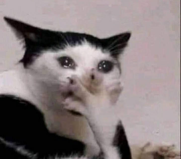 Detail Crying Cat Meme Nomer 23