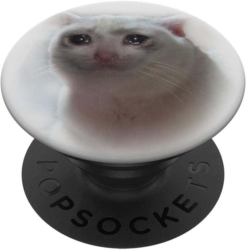 Detail Crying Cat Meme Nomer 28