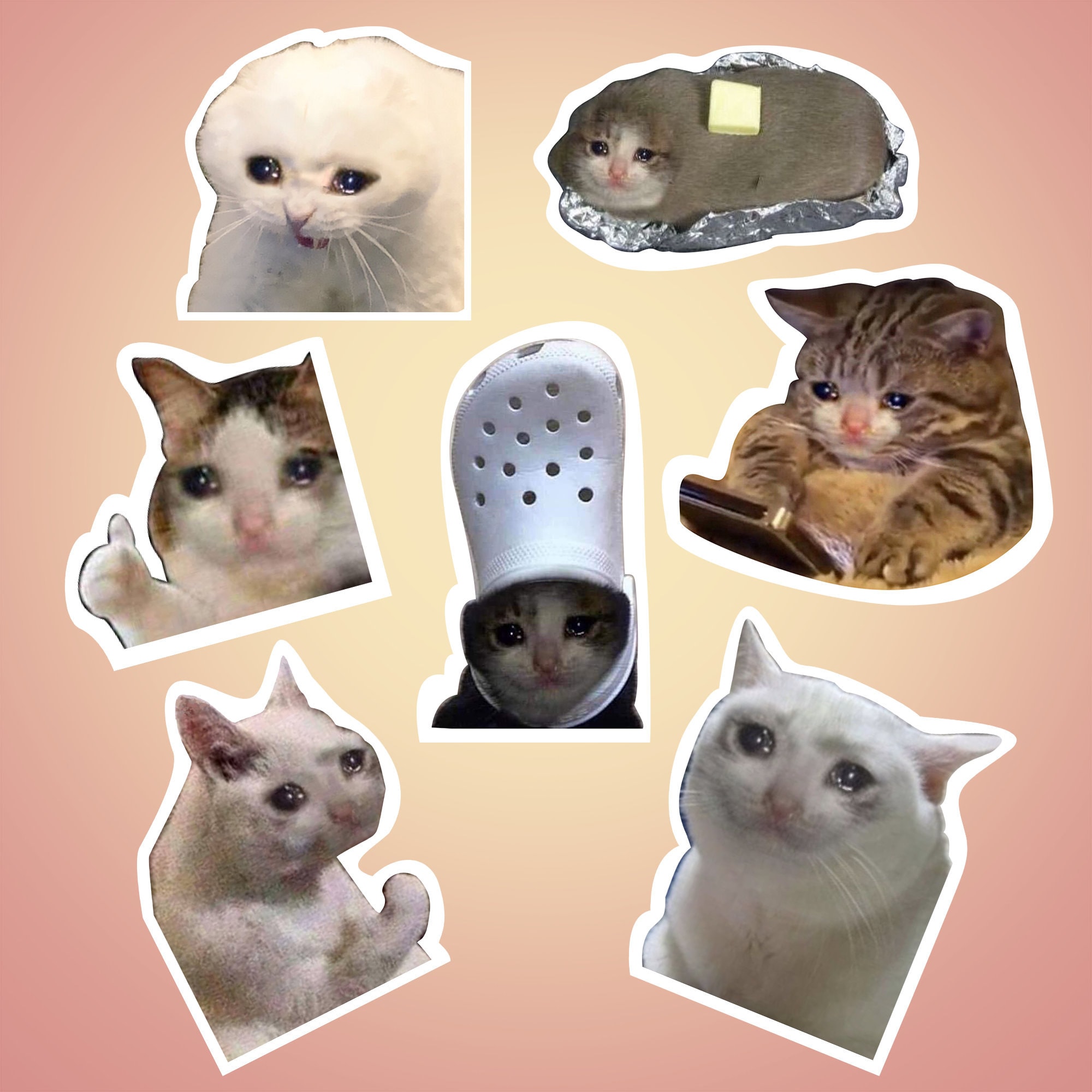 Detail Crying Cat Meme Nomer 30