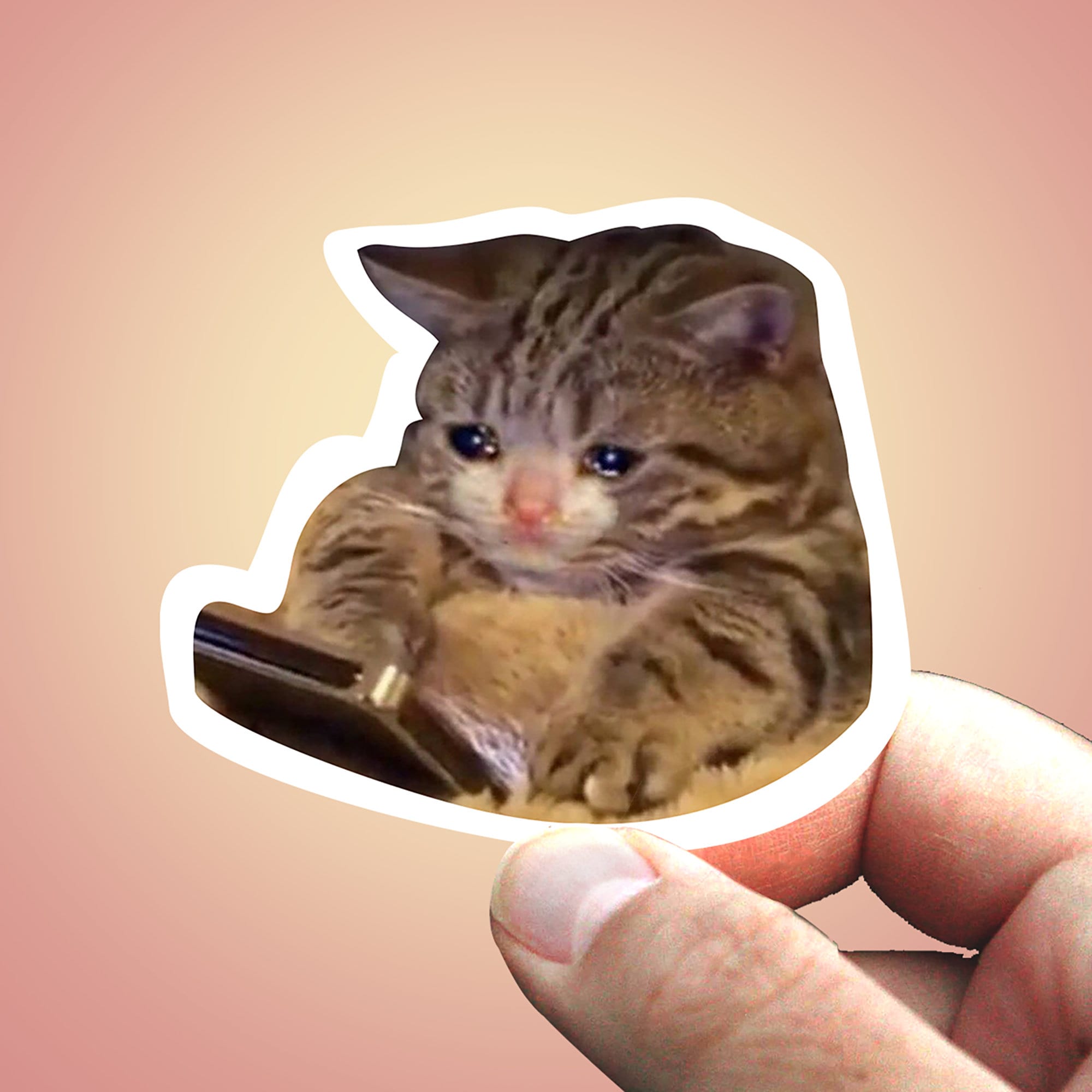 Detail Crying Cat Meme Nomer 31