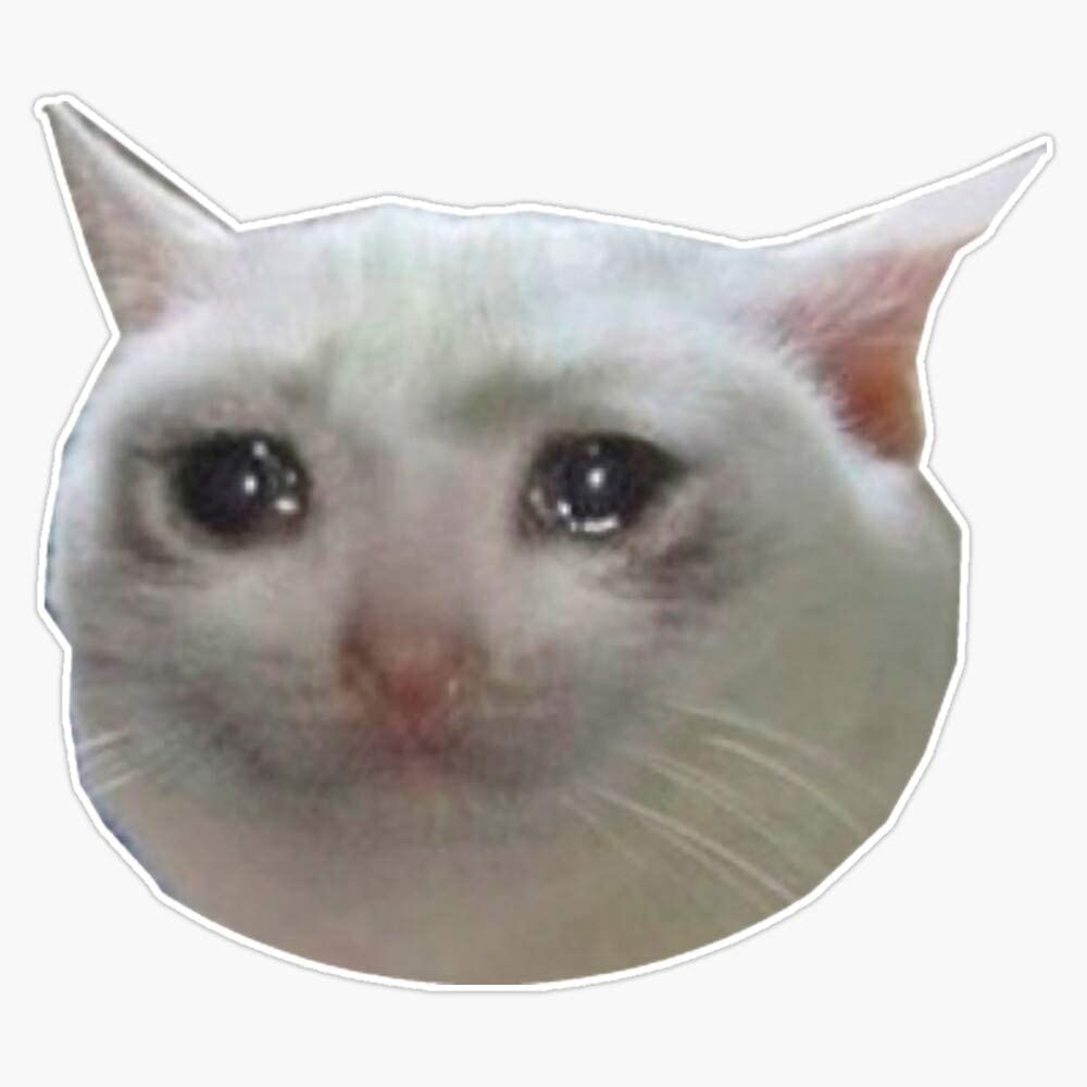 Detail Crying Cat Meme Nomer 32