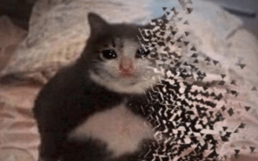 Detail Crying Cat Meme Nomer 35