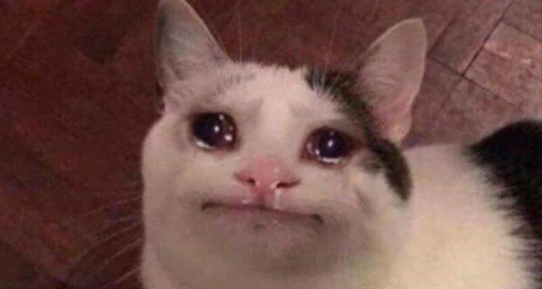 Detail Crying Cat Meme Nomer 5