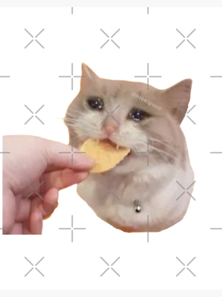 Detail Crying Cat Meme Nomer 39