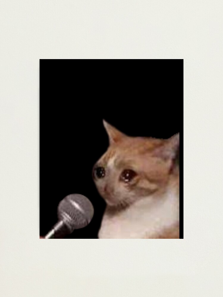Detail Crying Cat Meme Nomer 42