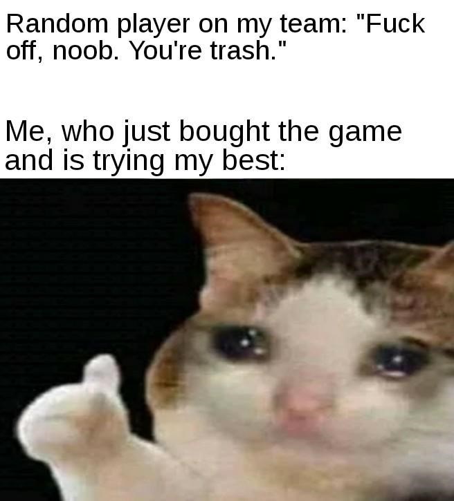 Detail Crying Cat Meme Nomer 43