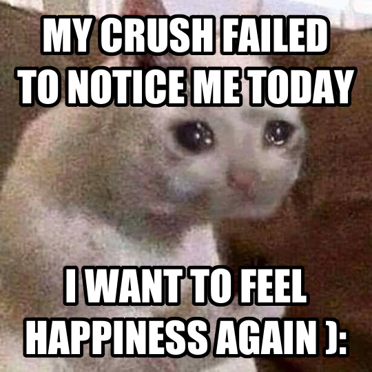 Detail Crying Cat Meme Nomer 45