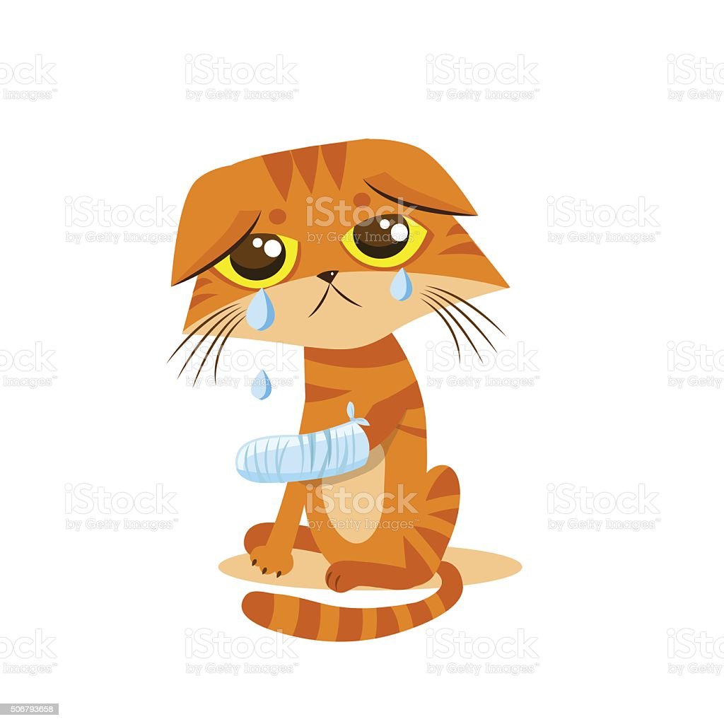 Detail Crying Cat Meme Nomer 46