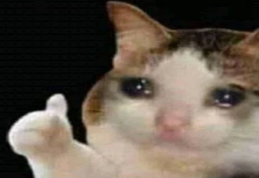 Detail Crying Cat Meme Nomer 6