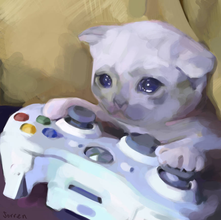 Detail Crying Cat Meme Nomer 49