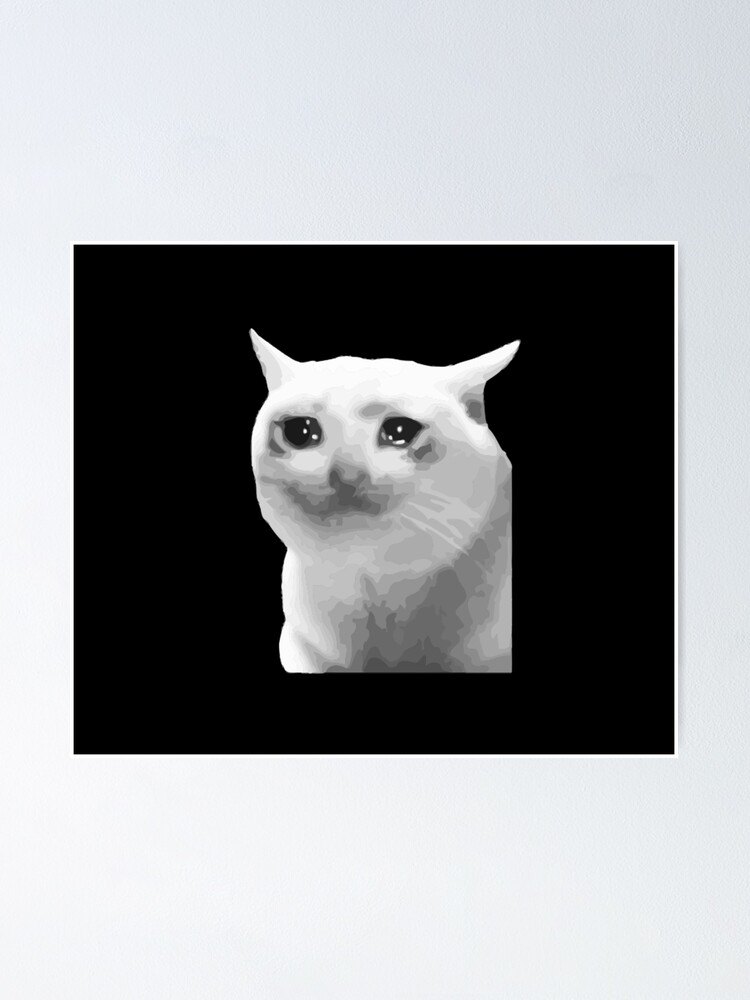 Detail Crying Cat Meme Nomer 52