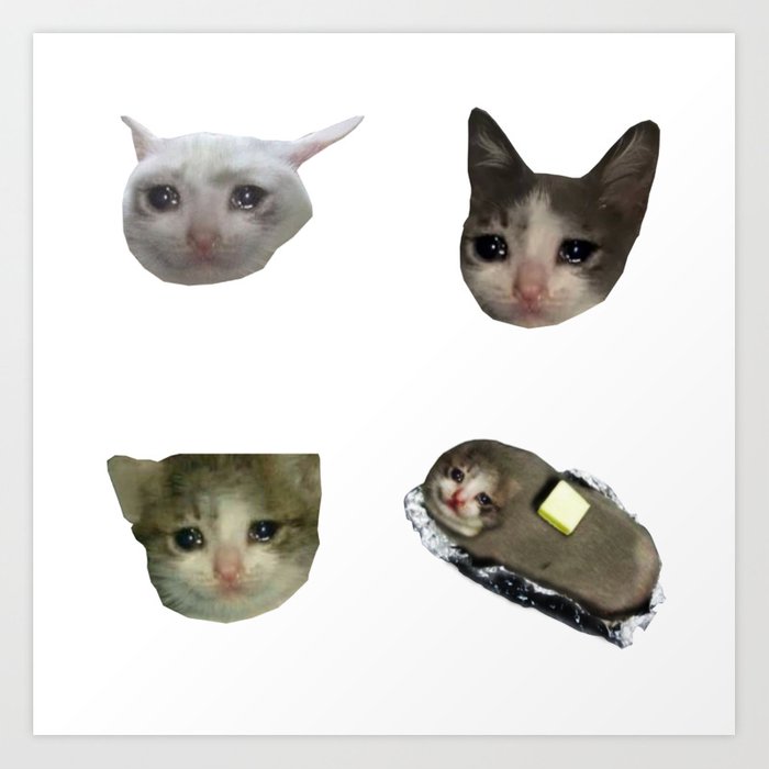 Detail Crying Cat Meme Nomer 53