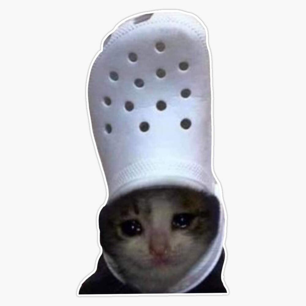 Detail Crying Cat Meme Nomer 54