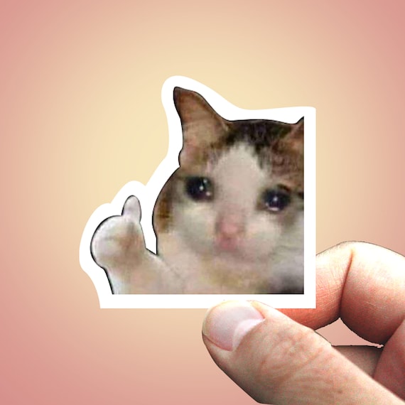 Detail Crying Cat Meme Nomer 56