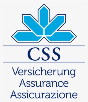 Detail Css3 Logo Png Nomer 50