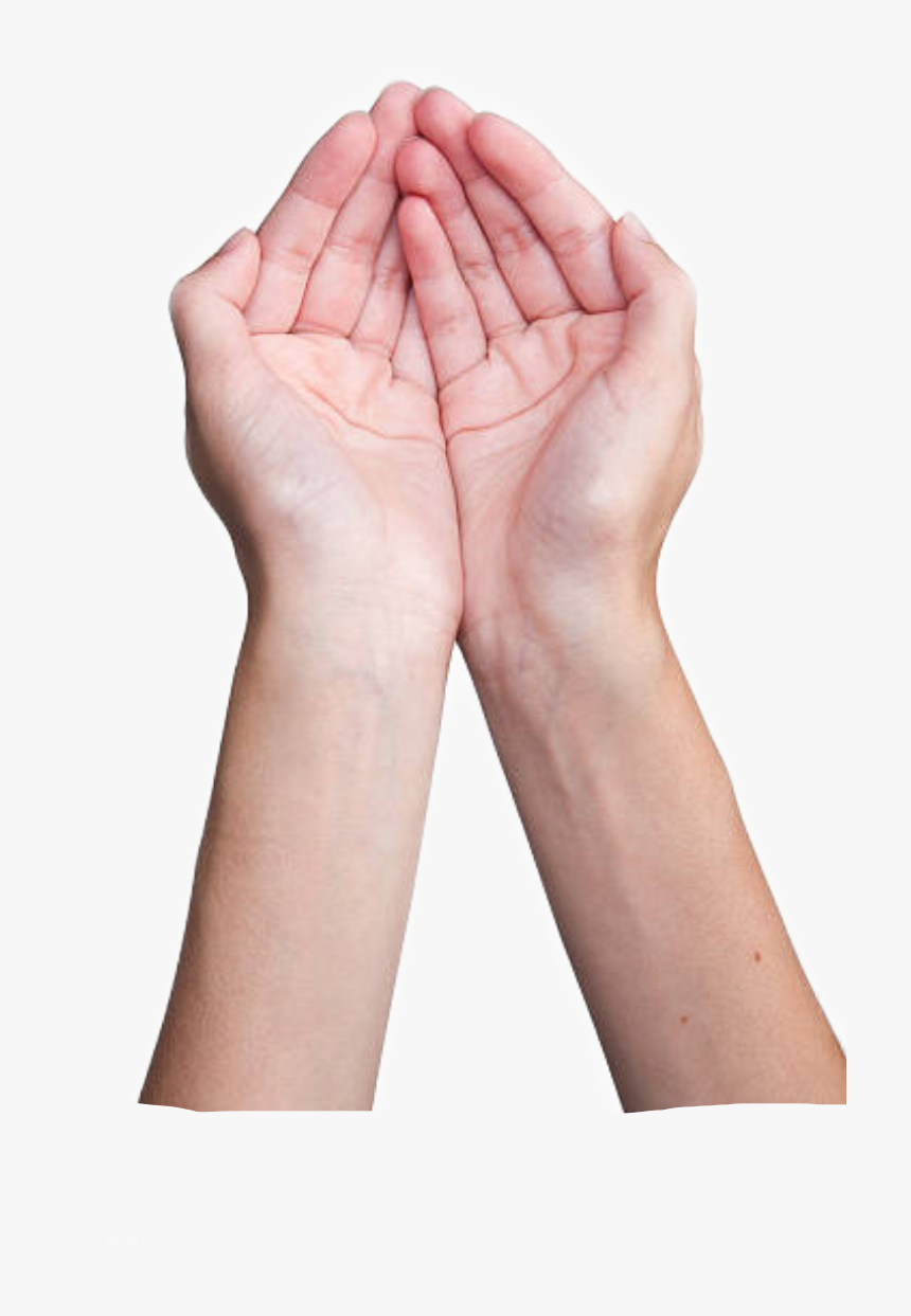 Detail Cupped Hand Png Nomer 2