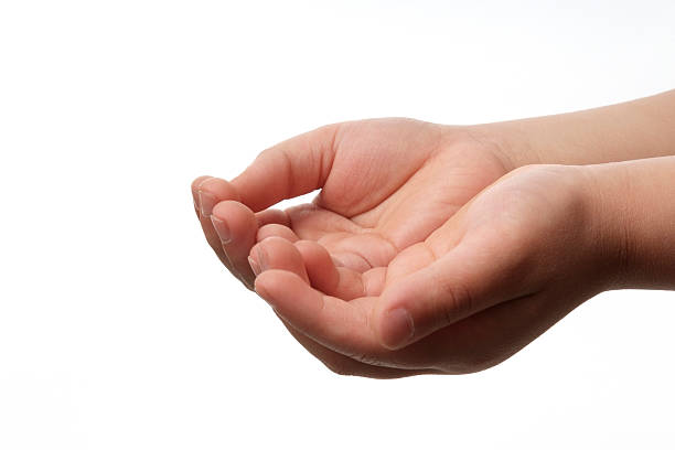 Detail Cupped Hand Png Nomer 10