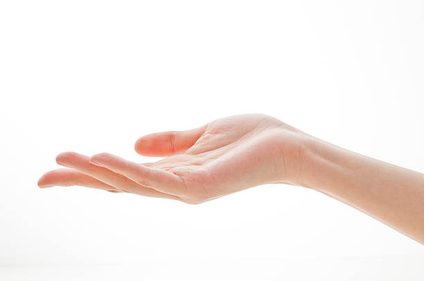 Detail Cupped Hand Png Nomer 17