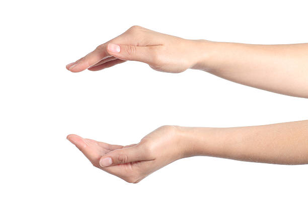 Detail Cupped Hand Png Nomer 18