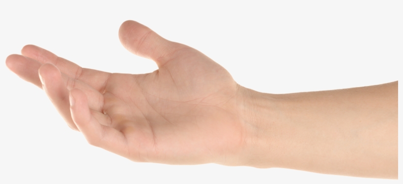 Detail Cupped Hand Png Nomer 24