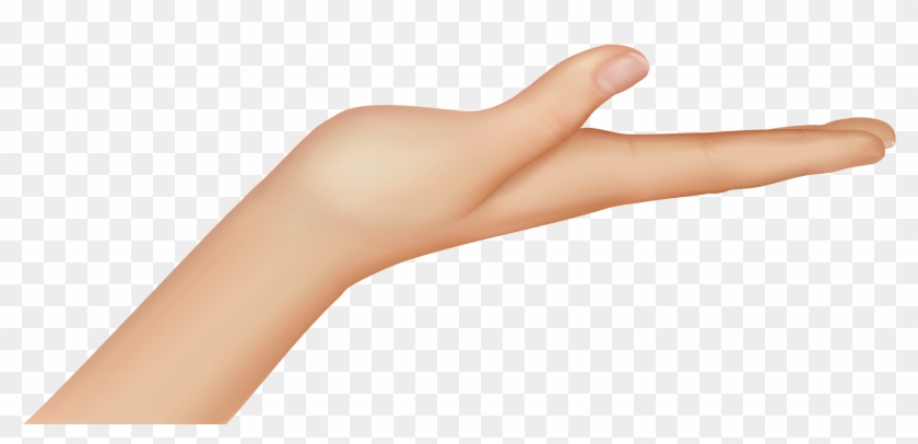 Detail Cupped Hand Png Nomer 33