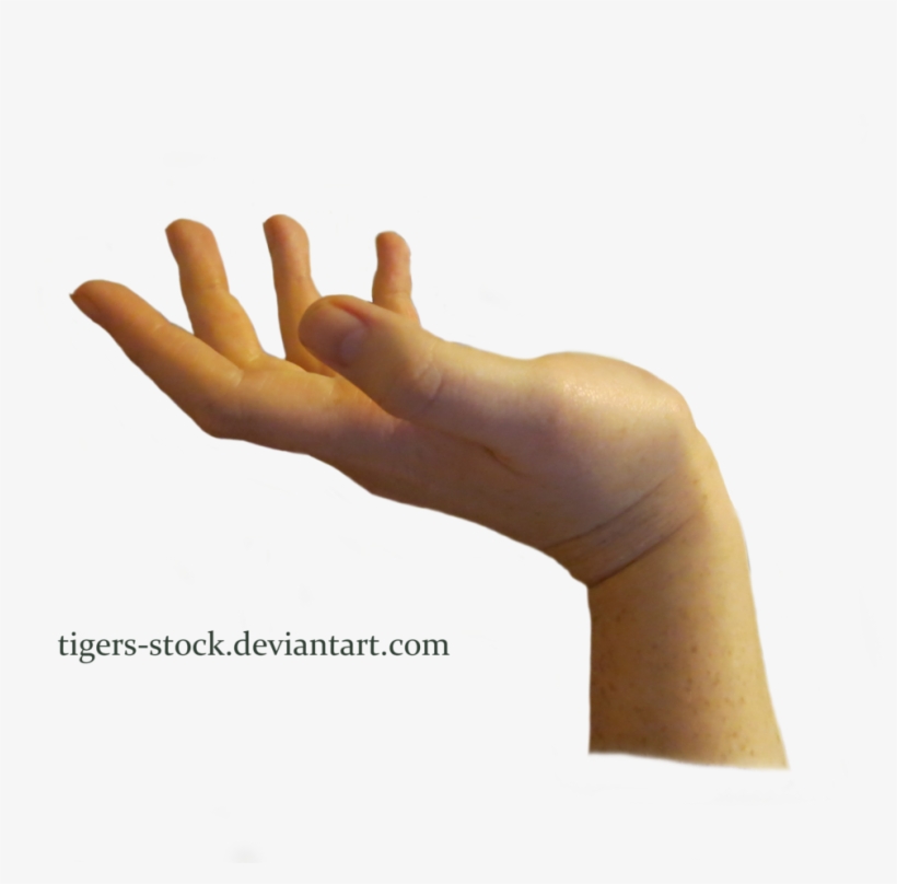 Detail Cupped Hand Png Nomer 38