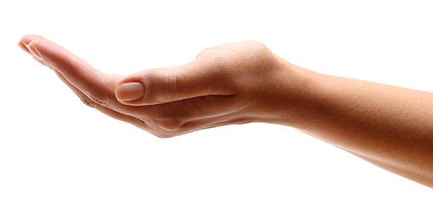 Detail Cupped Hand Png Nomer 40