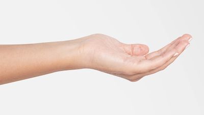 Detail Cupped Hand Png Nomer 42