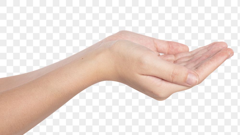 Detail Cupped Hand Png Nomer 51