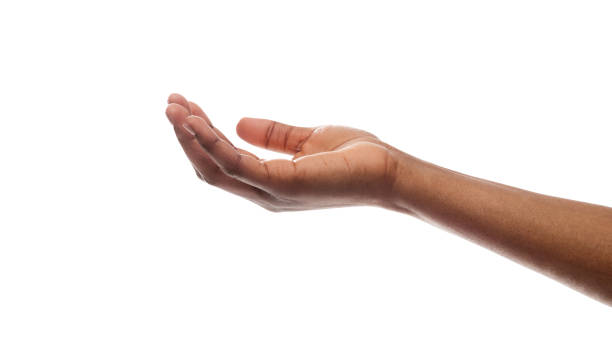 Detail Cupped Hand Png Nomer 9