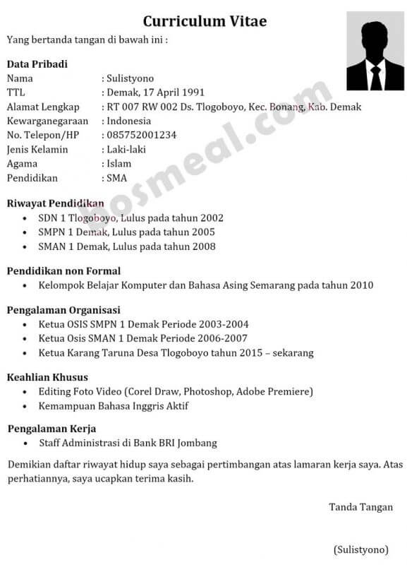 Detail Curriculum Vitae Contoh Cv Nomer 51