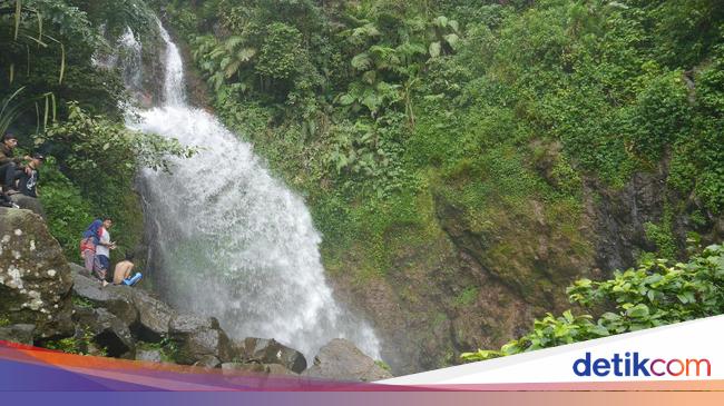 Detail Curug Pangeran Rumah Pohon Nomer 31