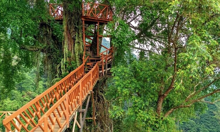 Detail Curug Pangeran Rumah Pohon Nomer 41