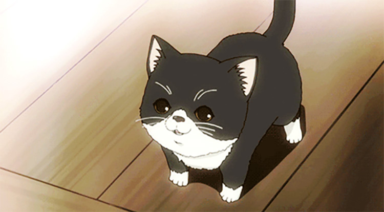 Detail Cute Anime Cat Nomer 18