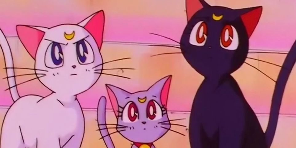 Detail Cute Anime Cat Nomer 35