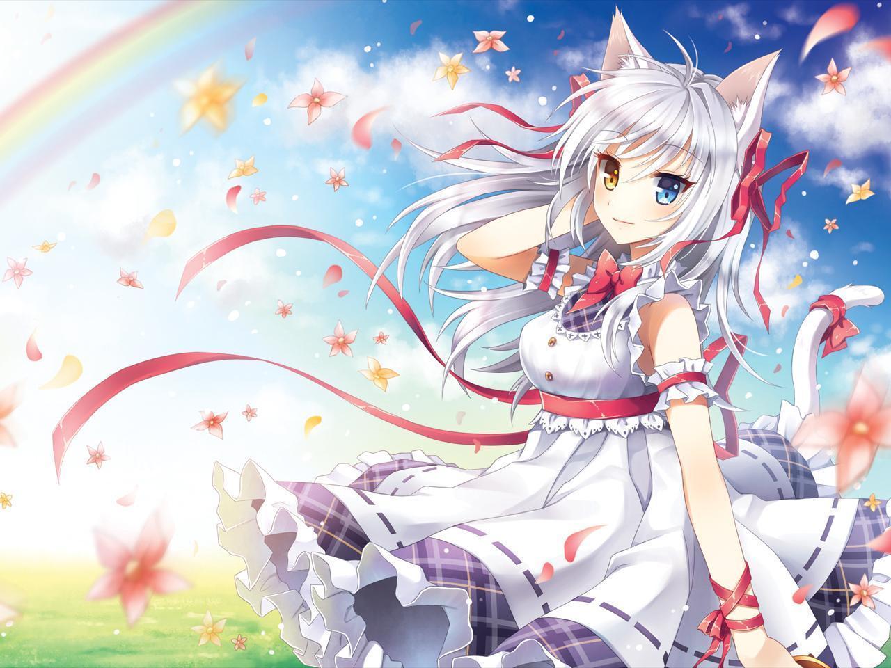 Detail Cute Anime Cat Nomer 45