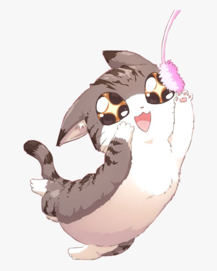 Detail Cute Anime Cat Nomer 6