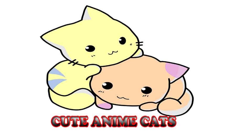 Detail Cute Anime Cat Nomer 50