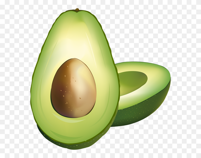 Detail Cute Avocado Clipart Nomer 50