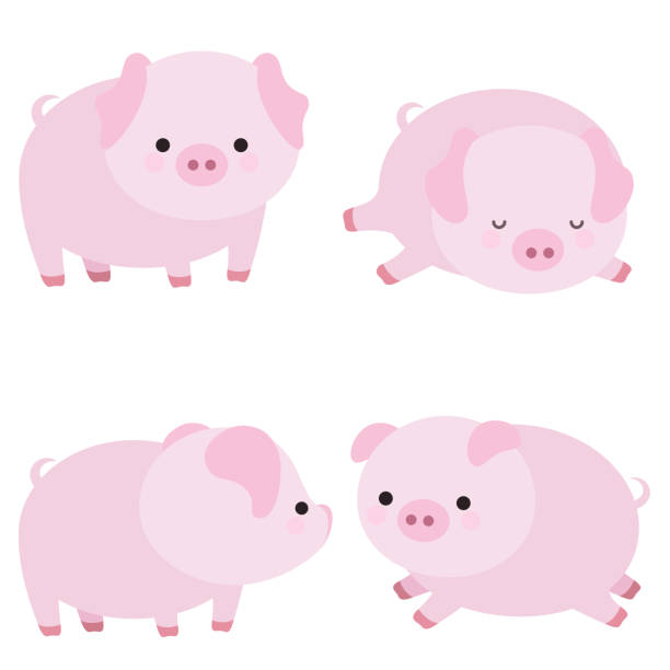 Detail Cute Baby Pigs Clipart Nomer 34