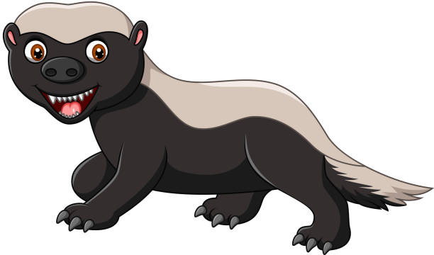 Detail Cute Badger Clipart Nomer 53