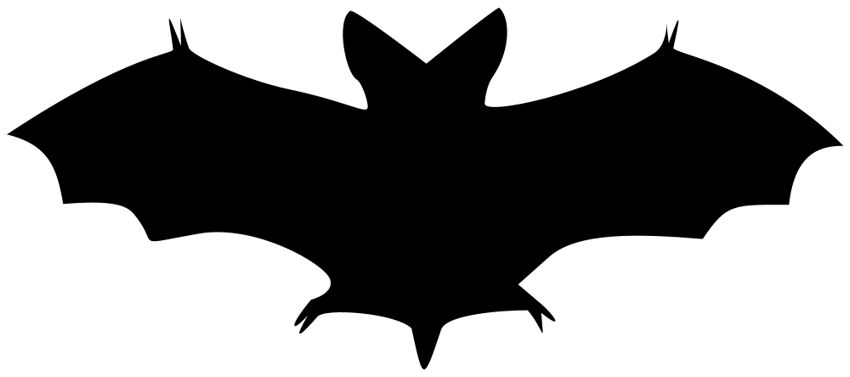 Detail Cute Bat Clipart Black And White Nomer 21