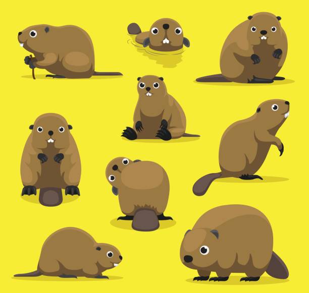 Detail Cute Beaver Clipart Nomer 36