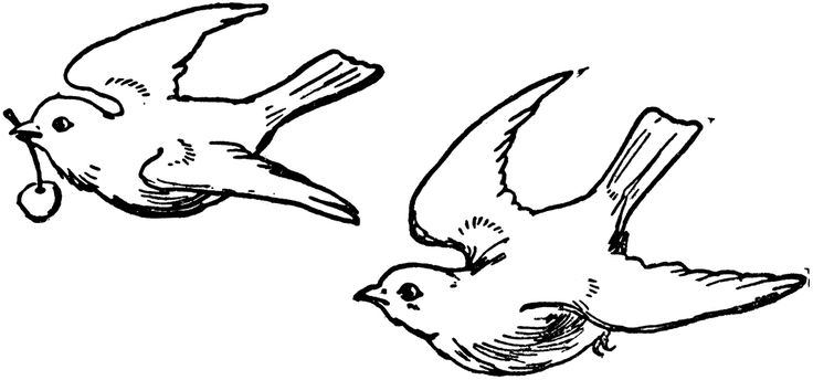 Detail Cute Bird Clipart Black And White Nomer 46