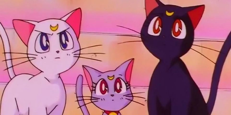 Detail Cute Cat Anime Nomer 22