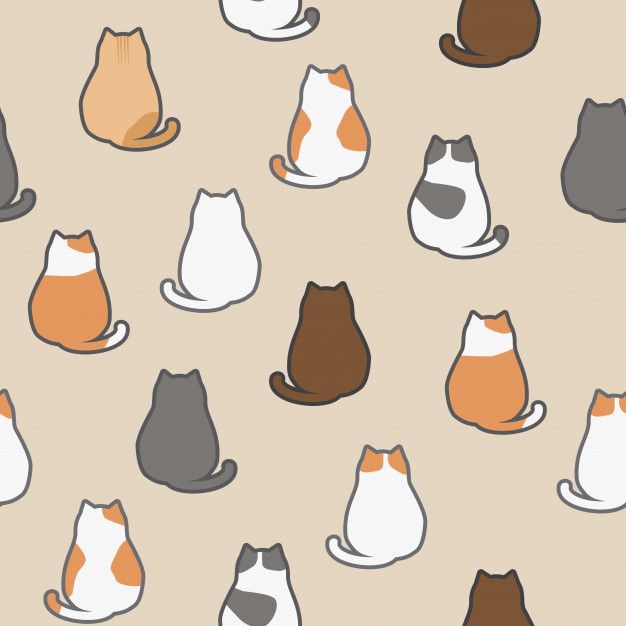 Detail Cute Cat Cartoon Wallpaper Nomer 23