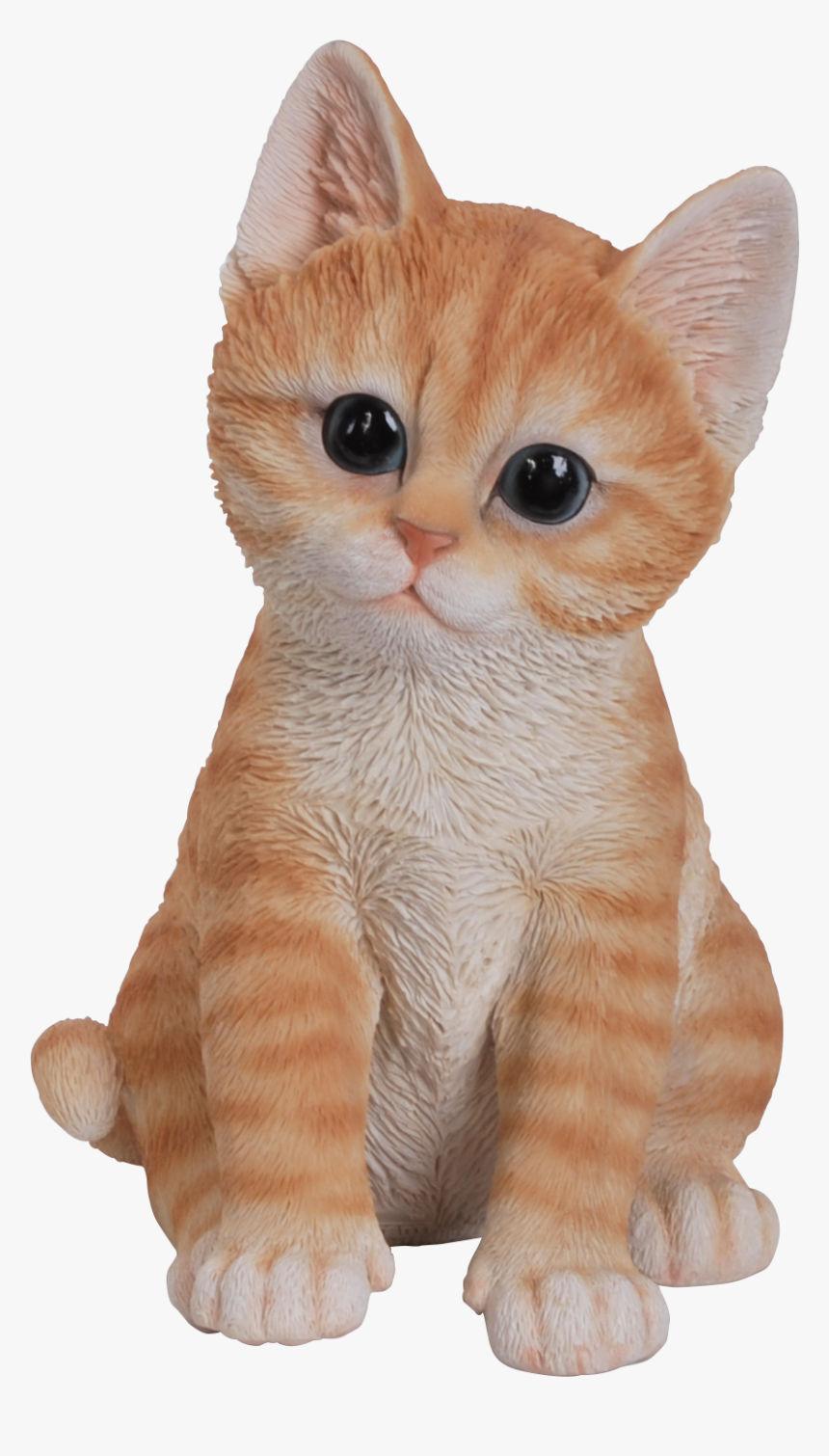 Detail Cute Cats Images Download Nomer 26
